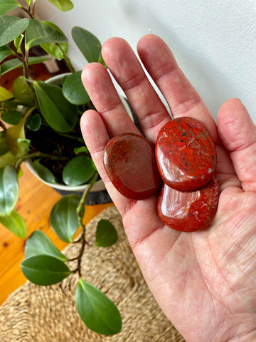 Palm Stone Crystal (Red Jasper) • NEW